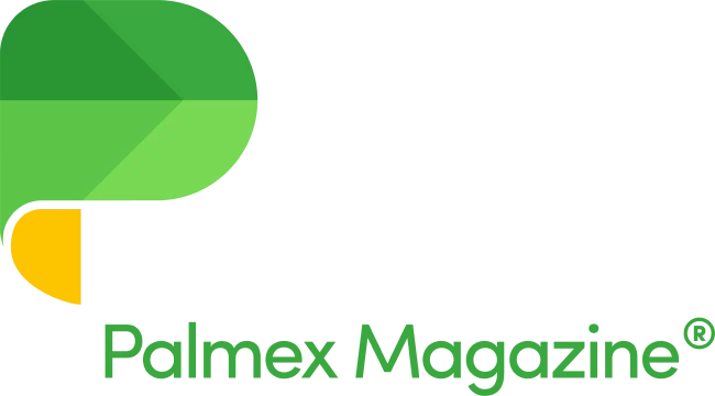 Logo de la revista P de Palma