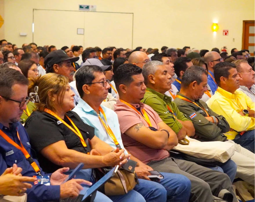 Expertas extranjeras en plantación