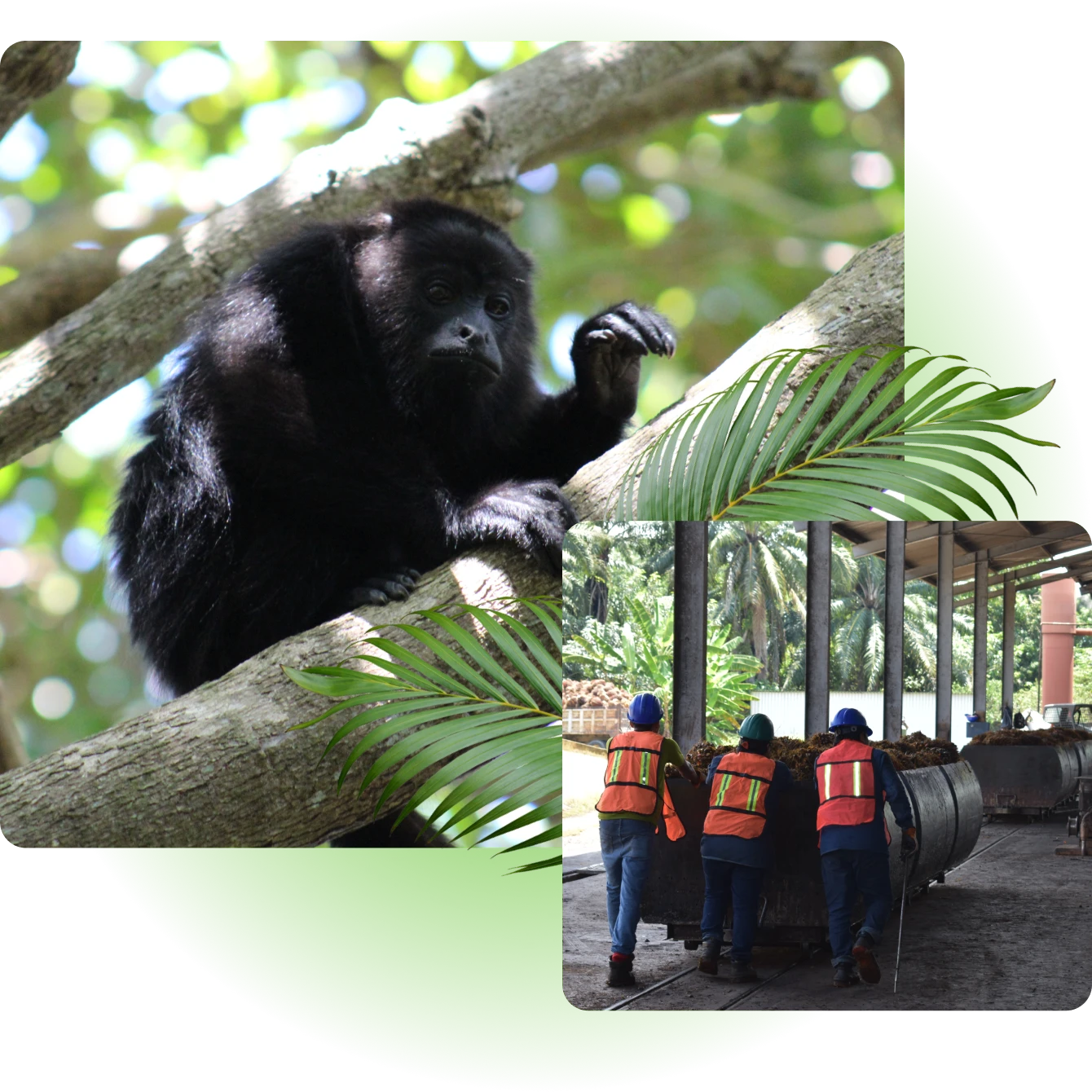 Tercer concurso de fotografía 2026