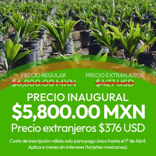 Precios de admisión