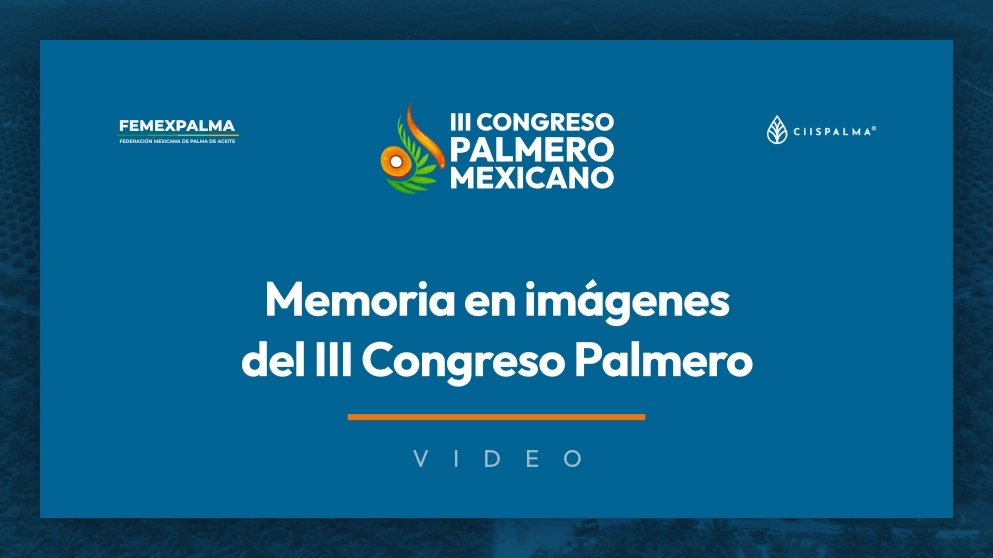Miniatura de video: Memoria en imágenes del III Congreso Palmero