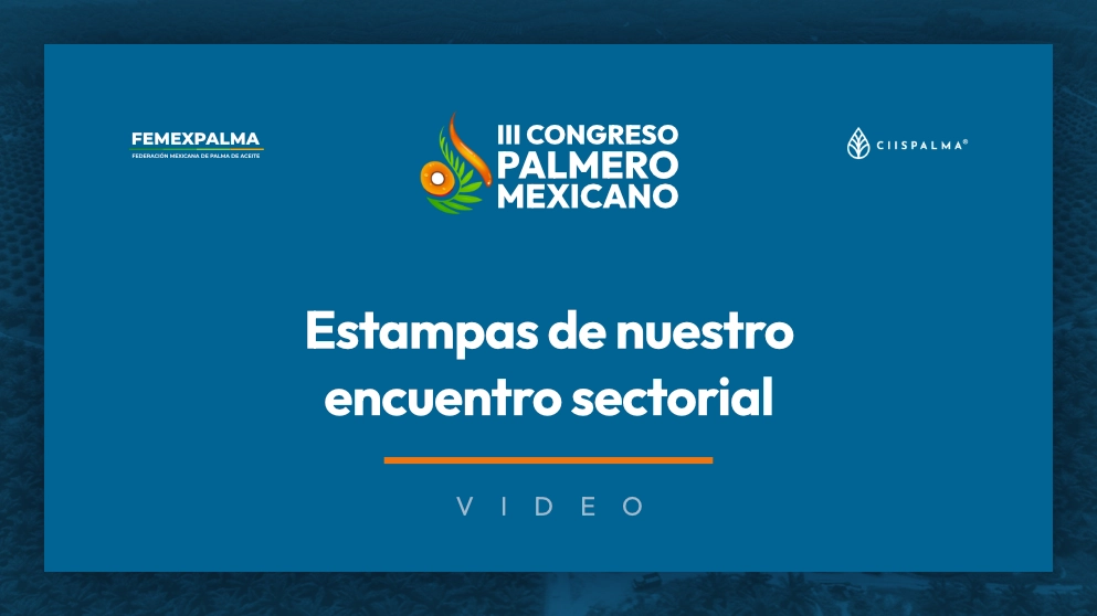 Miniatura de video: Estampas de nuestro encuentro sectorial