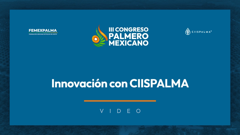 Miniatura de video: Innovación con CIISPALMA