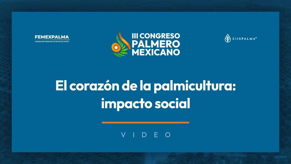 Miniatura de video: El corazón de la palmicultura: impacto social