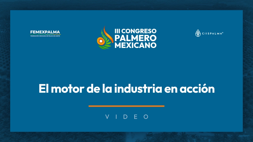 Miniatura de video: El motor de la industria en acción